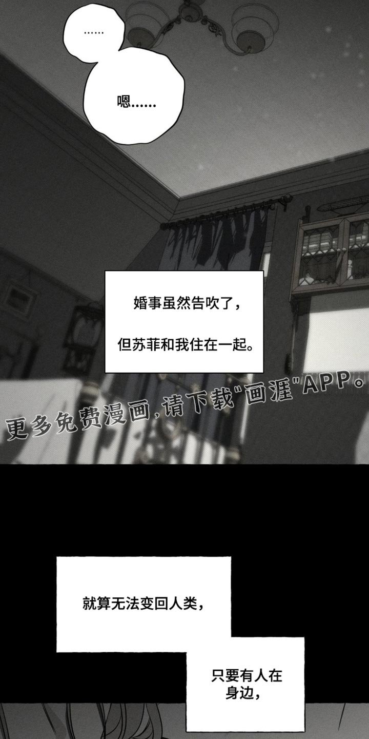 第84章：巨大的安慰