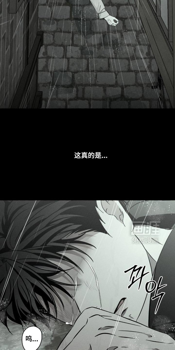 第85章：我很好奇
