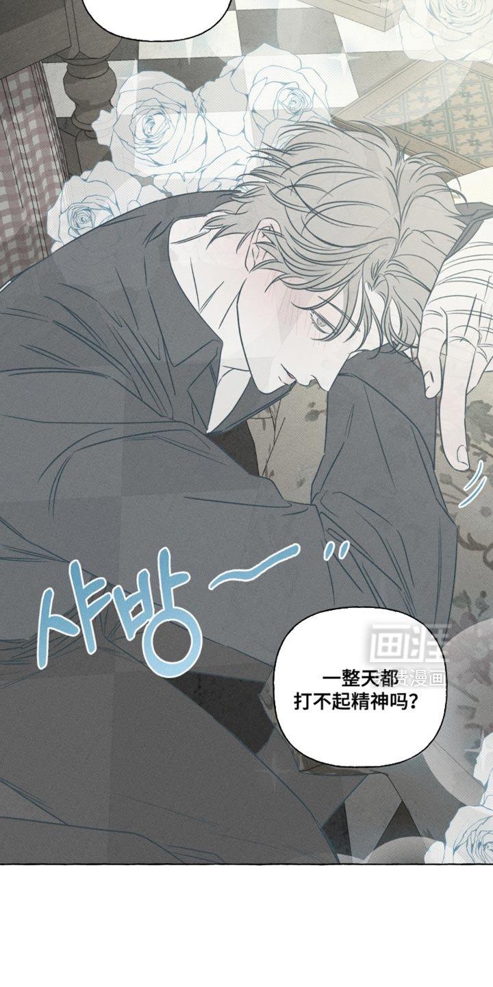 第91章：不需要那样