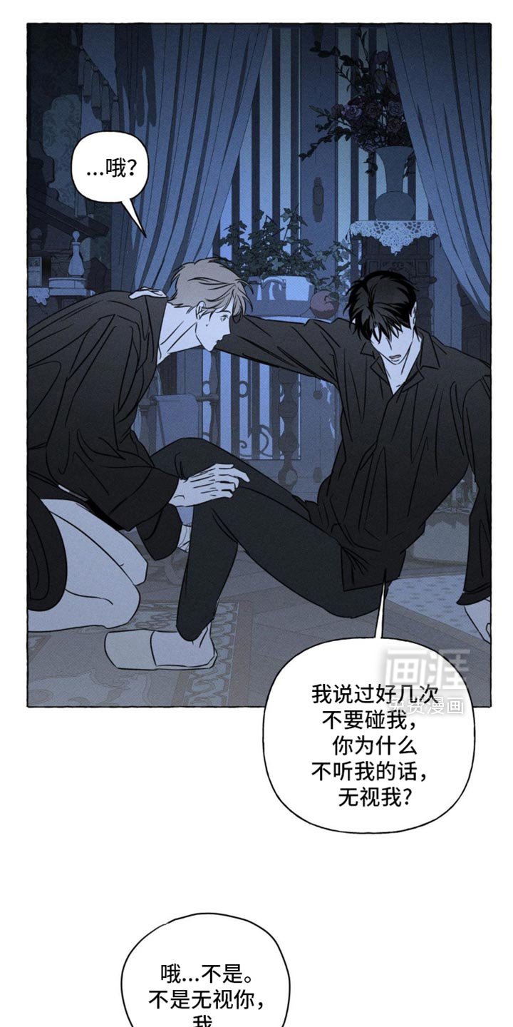 第94章：观察日记