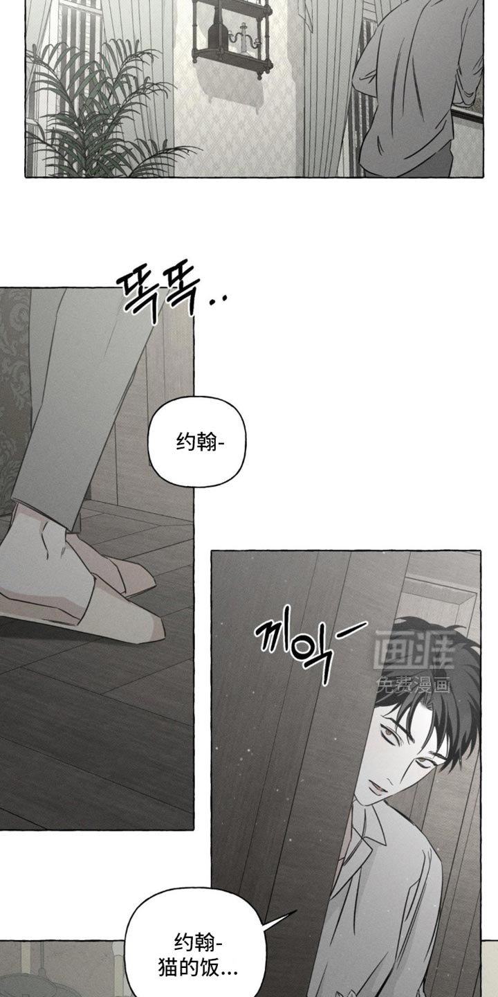 第94章：观察日记