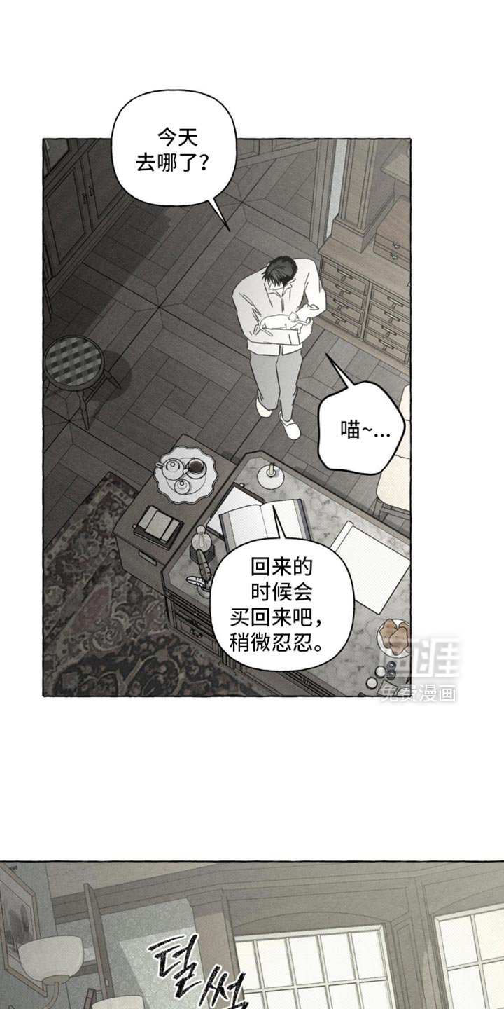 第94章：观察日记
