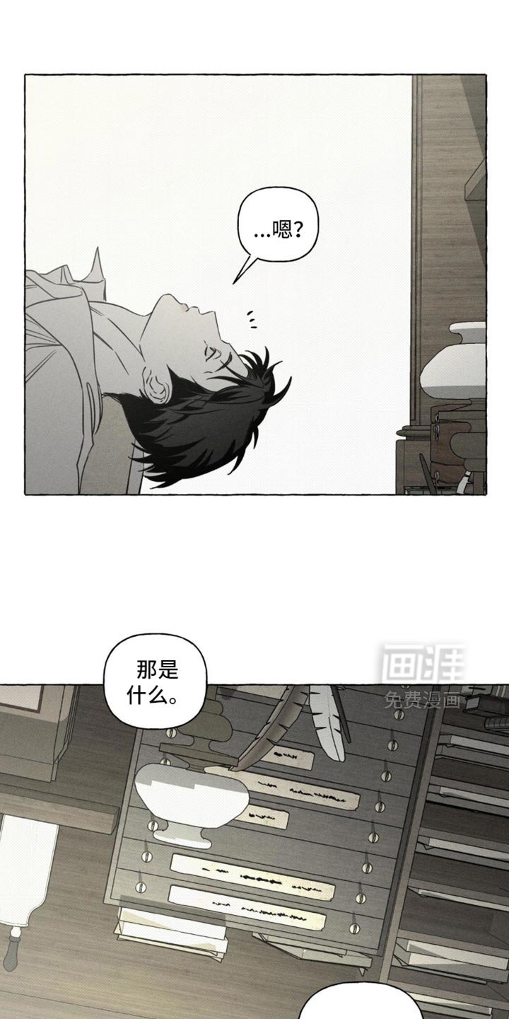 第94章：观察日记