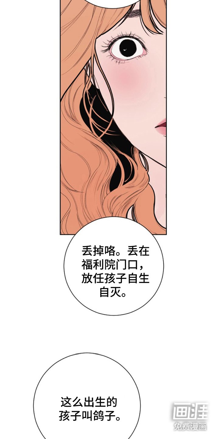 第11章：处置