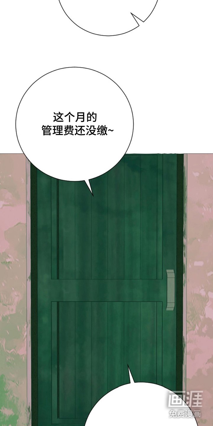 第11章：处置