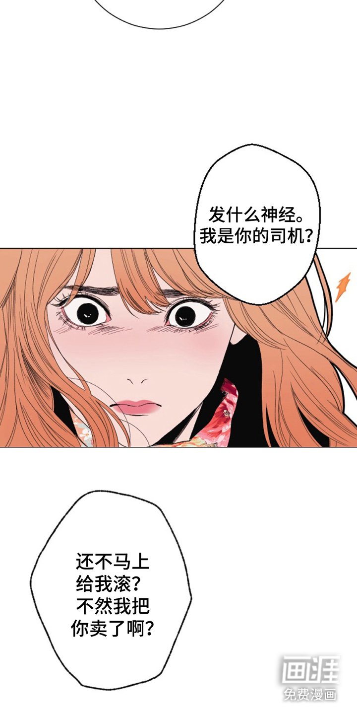 第13章：大发善心