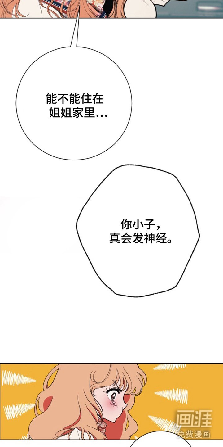 第14章：检查
