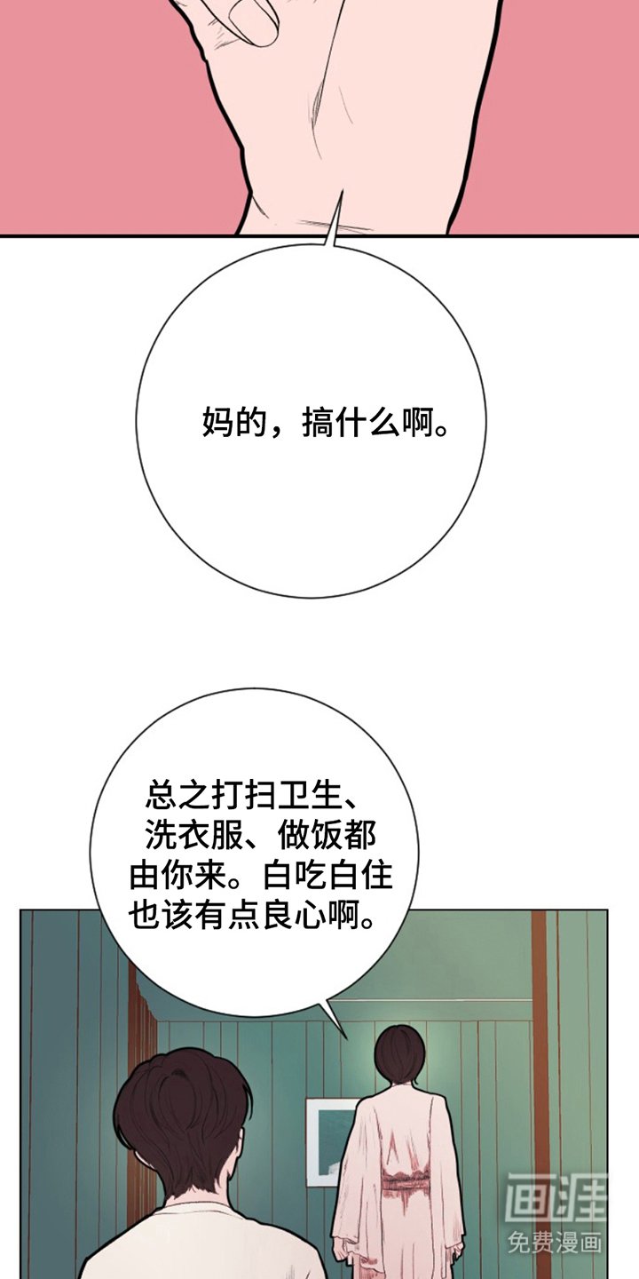 第15章：金主