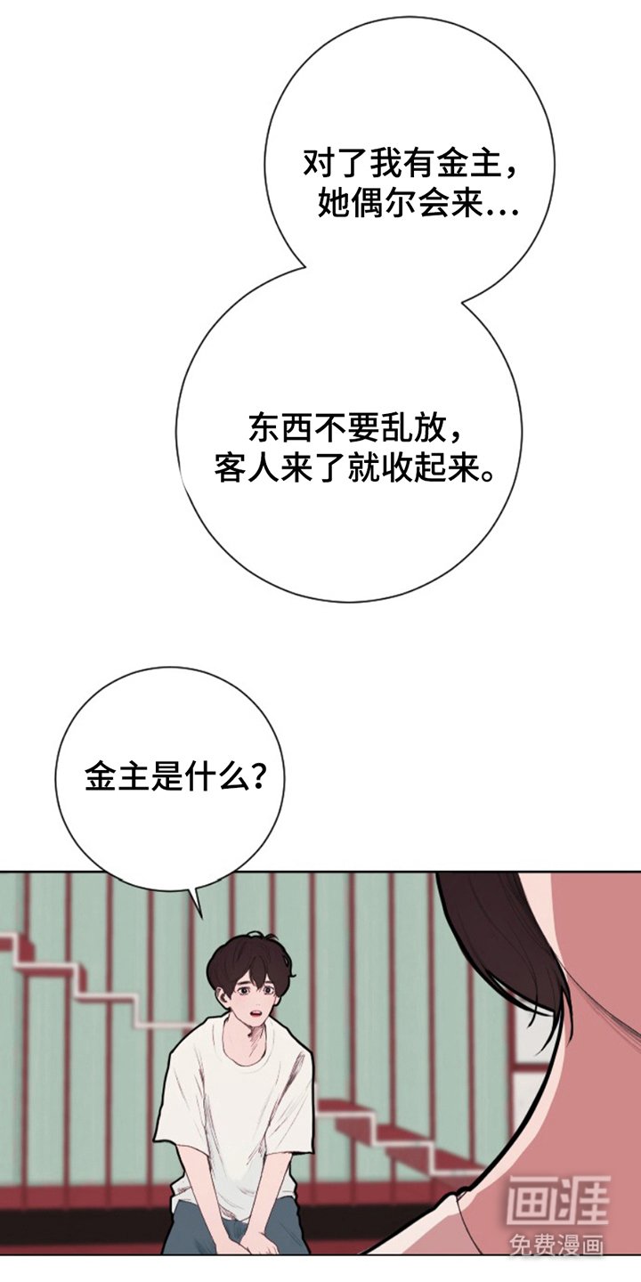 第15章：金主