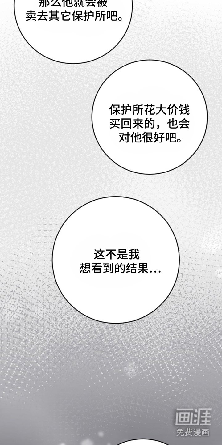第17章：偿还