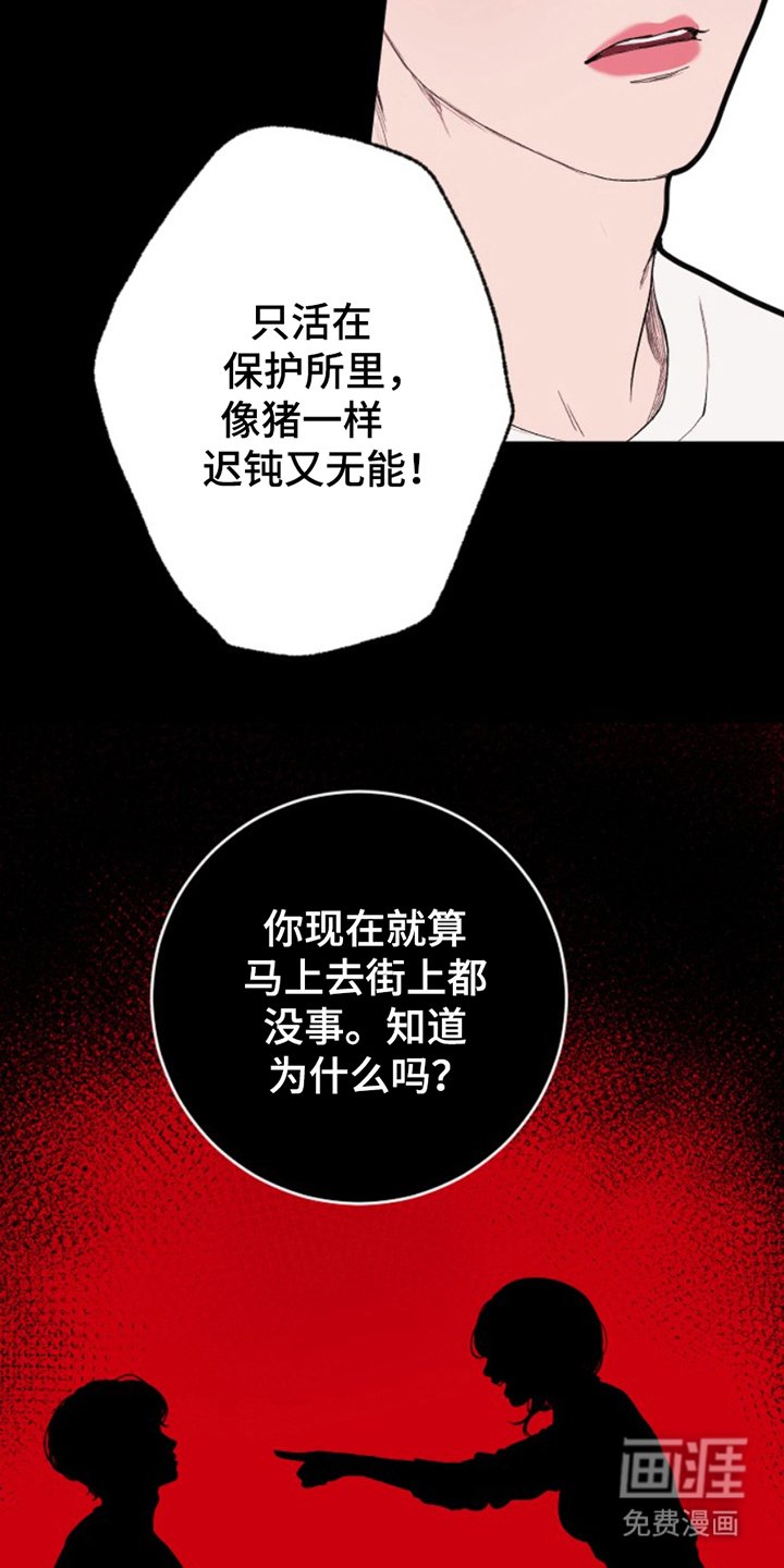 第19章：蠢货