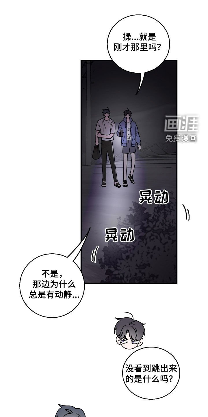 第27章：胡思乱想
