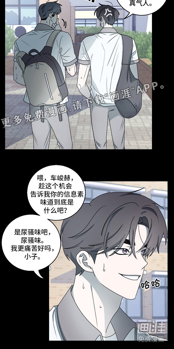 第3章：奇怪的信息素