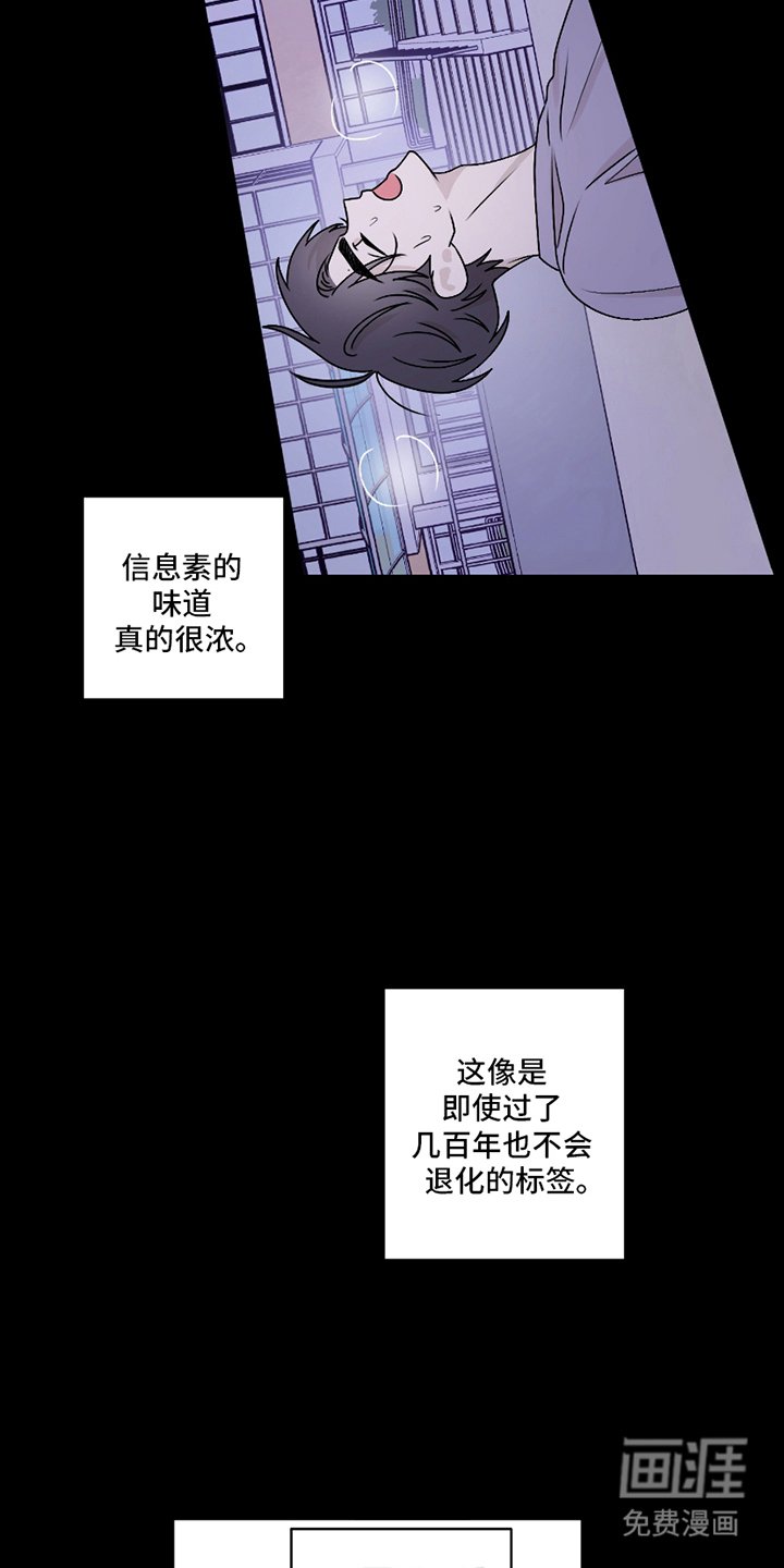 第3章：奇怪的信息素