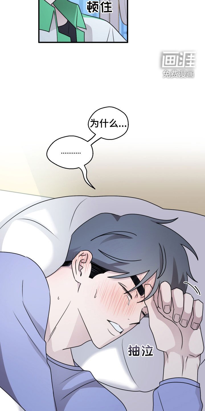第33章：为什么喜欢我