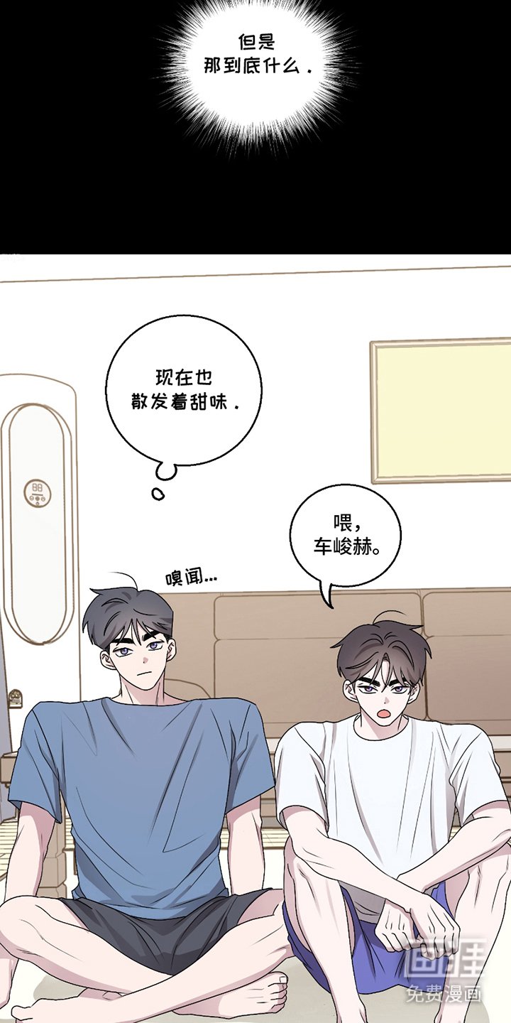第5章：坦诚