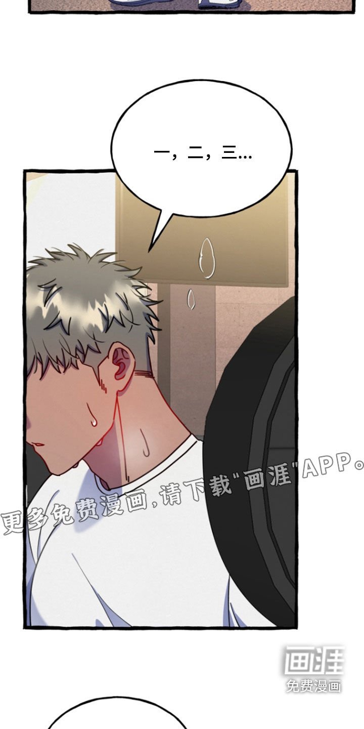 第19章：回归