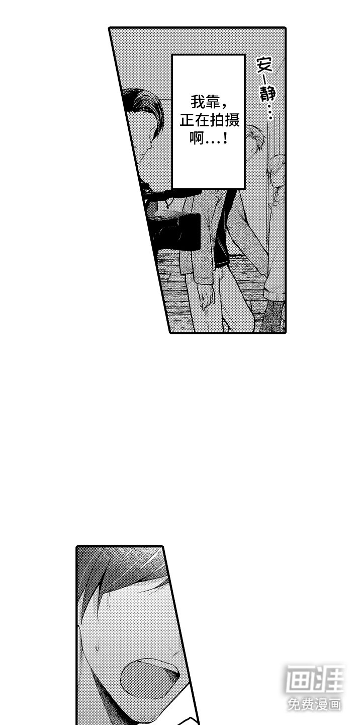 第15章：投入