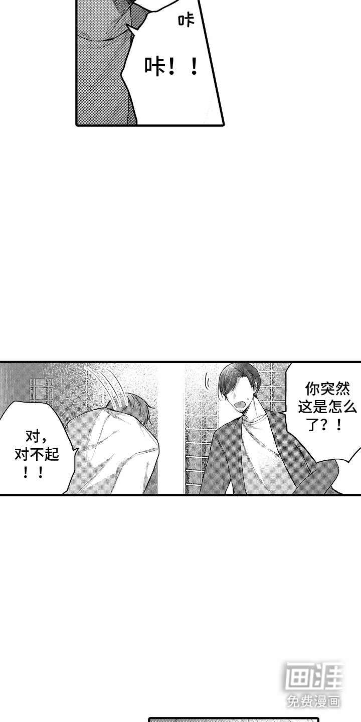 第15章：投入