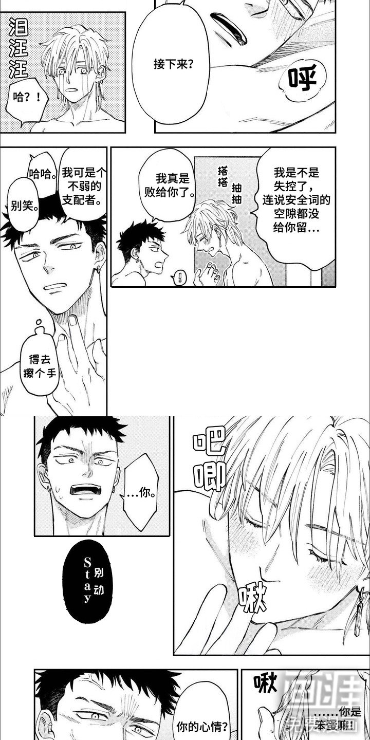第12章：稳定下来