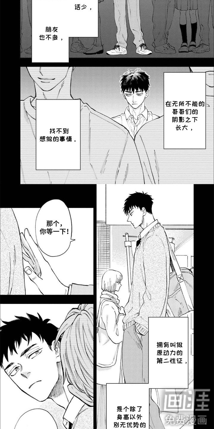 第13章：粉丝