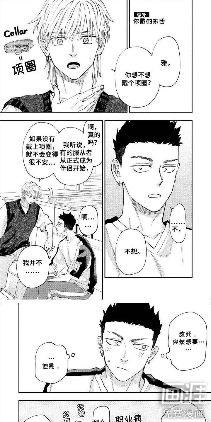 第16章：【番外】你戴的东西