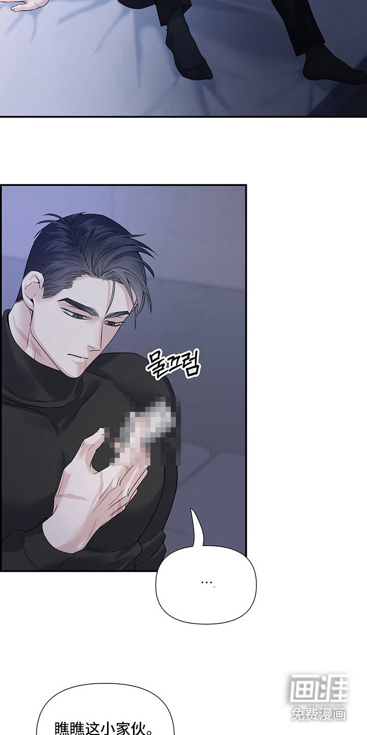 第11章：会来吗