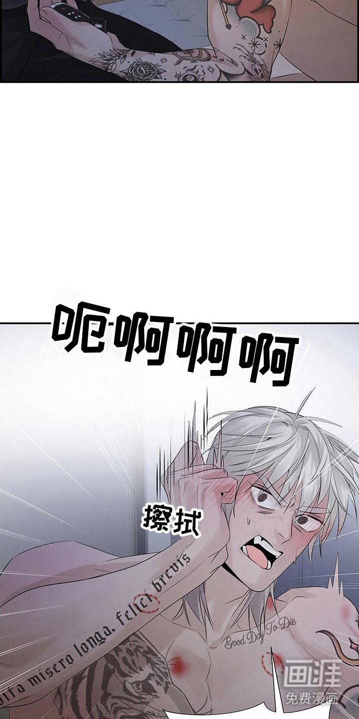 第12章：别误会（完结）
