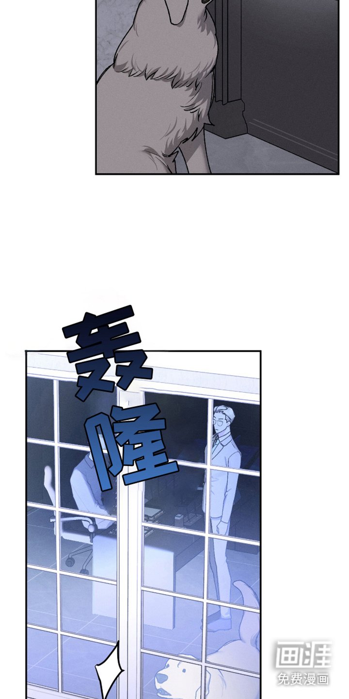 第10章：解决师