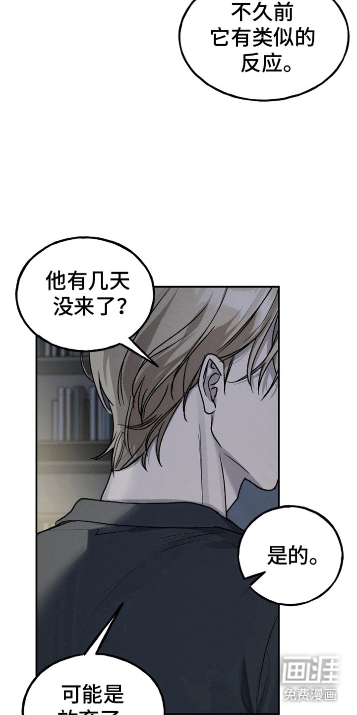 第10章：解决师