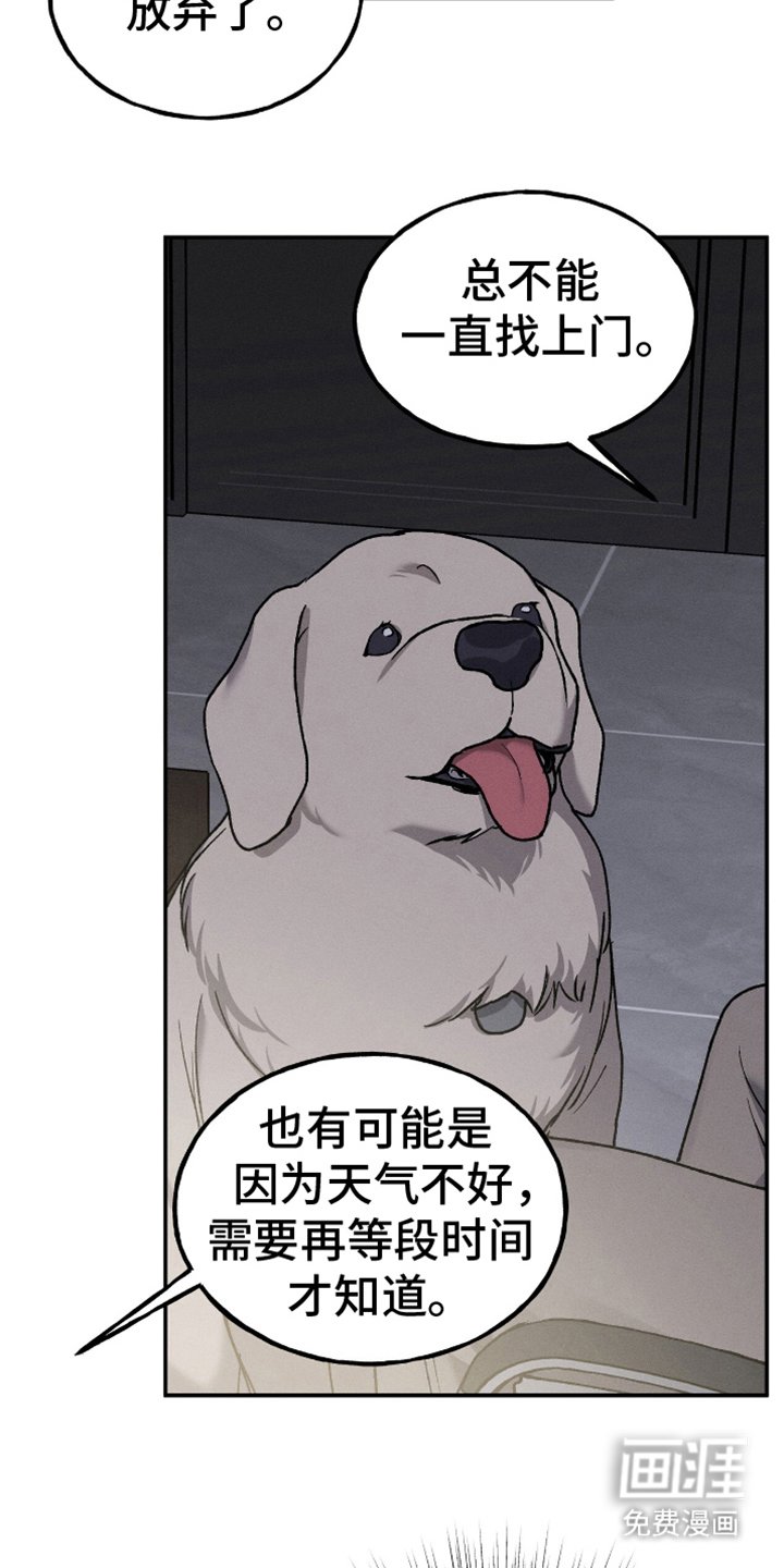 第10章：解决师