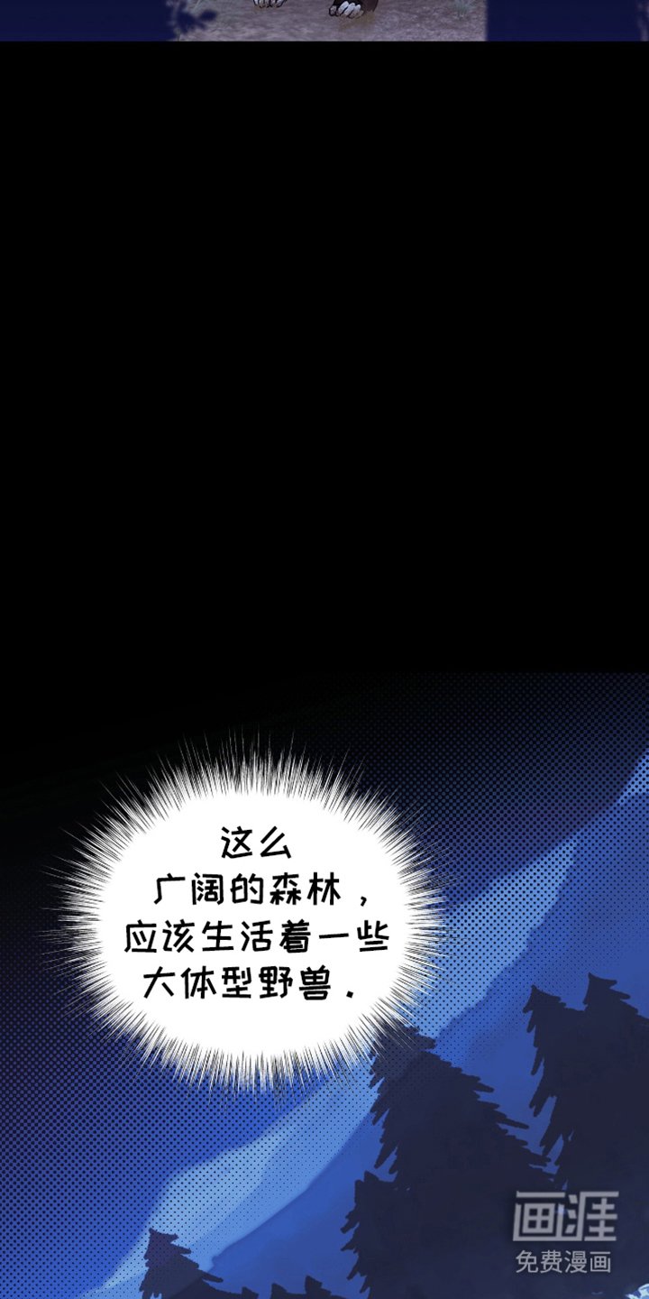 第13章：另一个说法