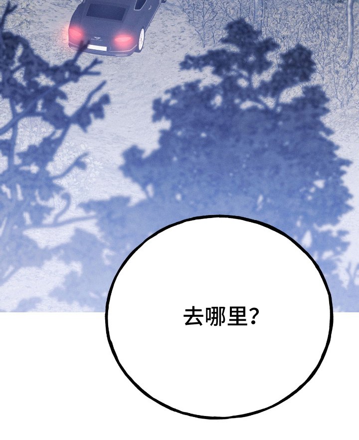 第15章：反复模拟