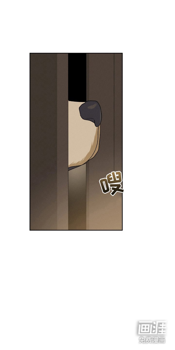 第2章：为何而来