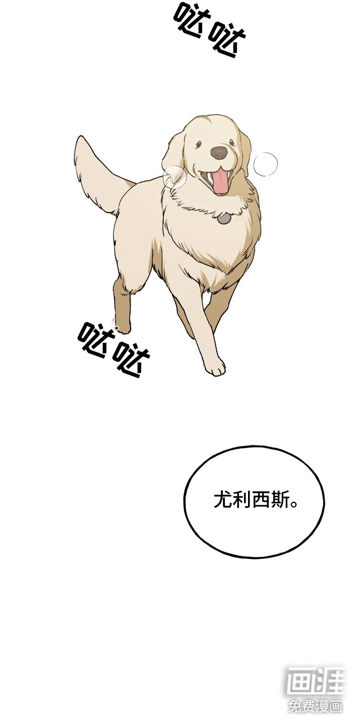 第2章：为何而来