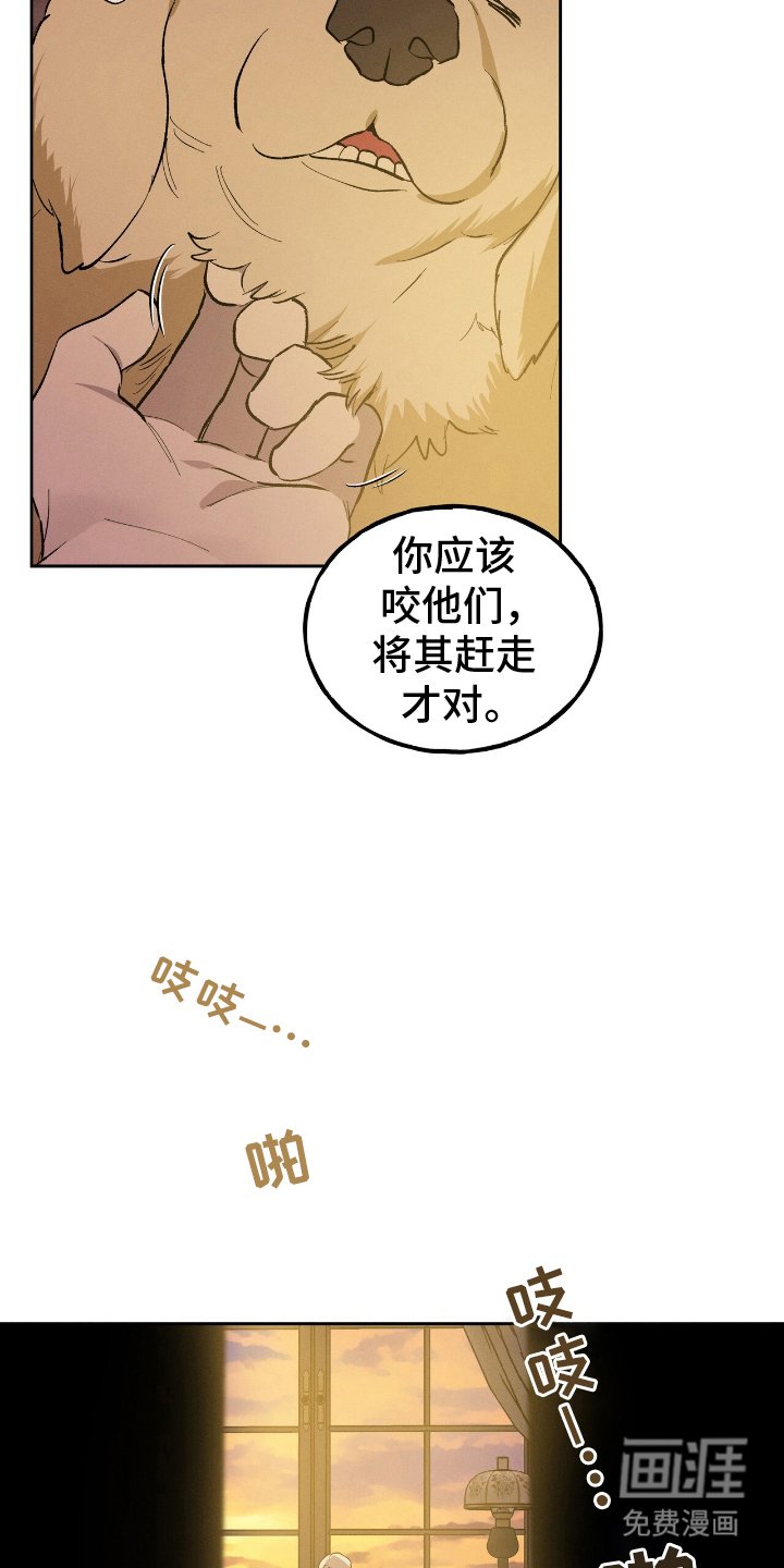 第2章：为何而来
