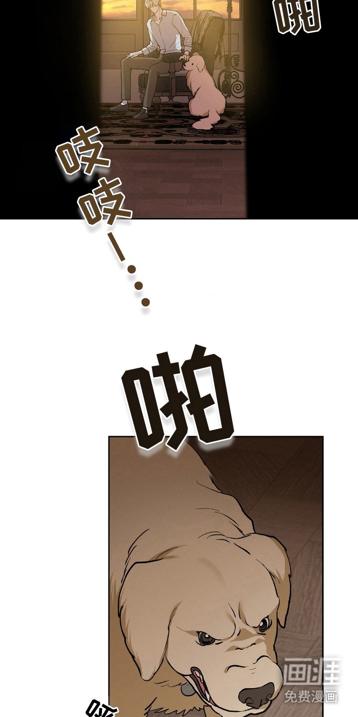 第2章：为何而来