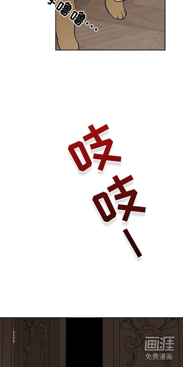 第2章：为何而来