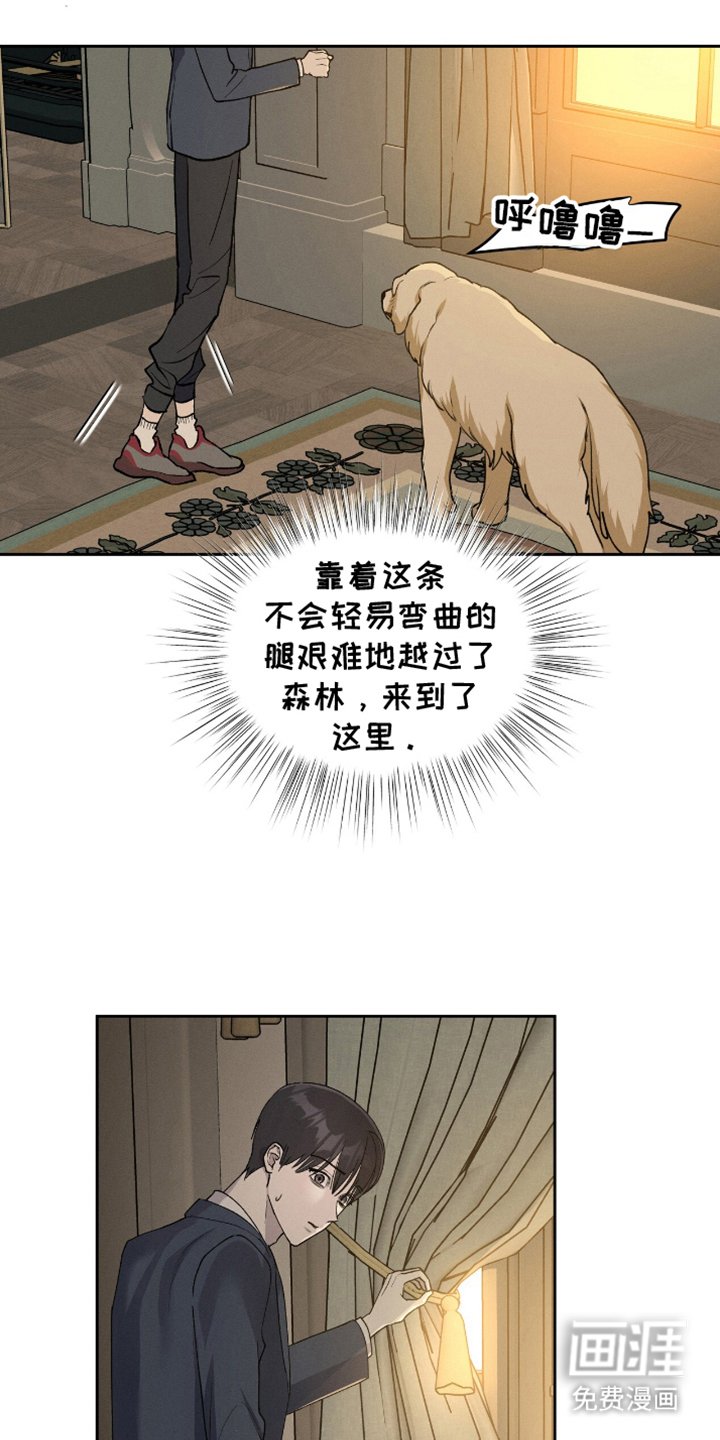 第3章：患者