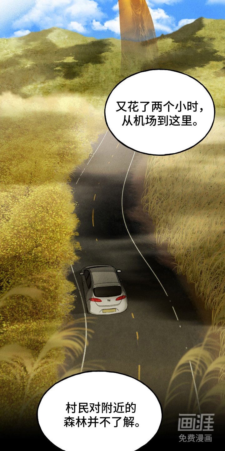 第4章：罕见