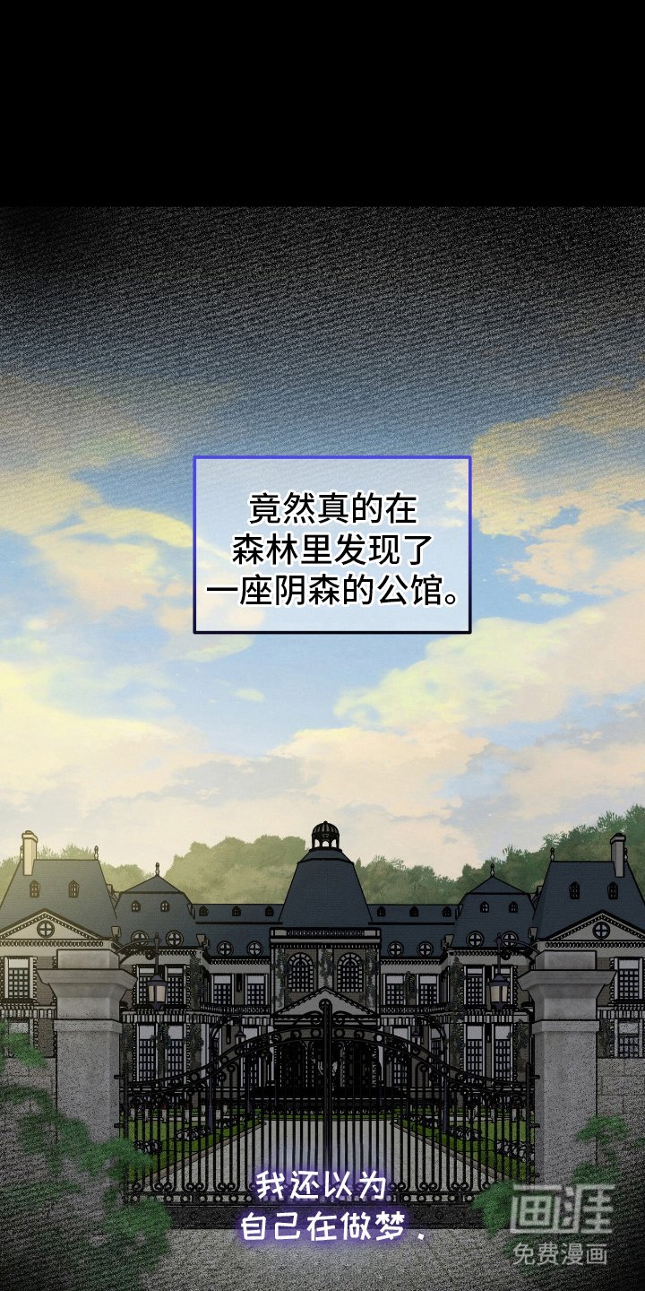 第4章：罕见