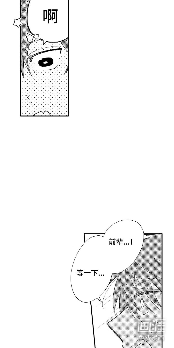 第12章：错觉