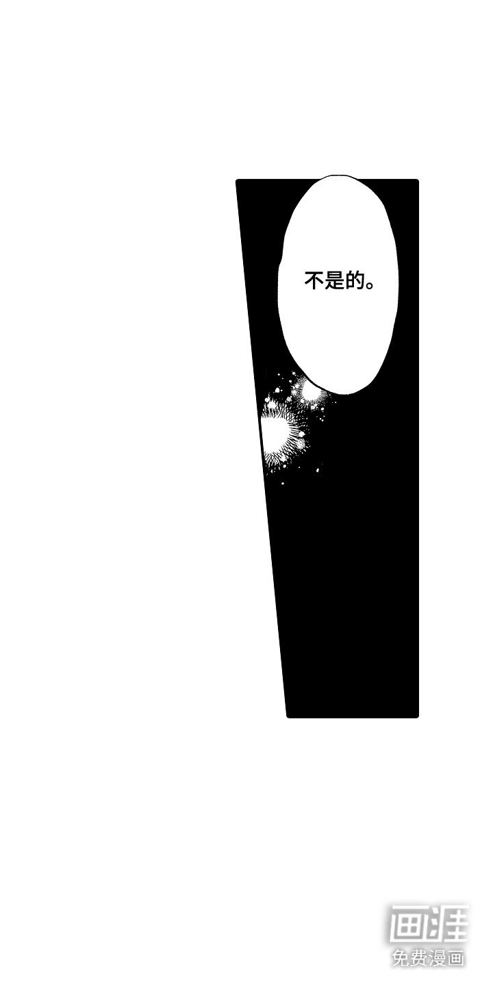 第12章：错觉