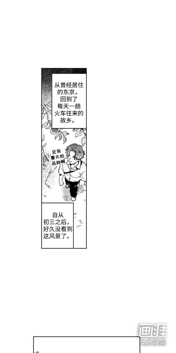 第1章：真正目的