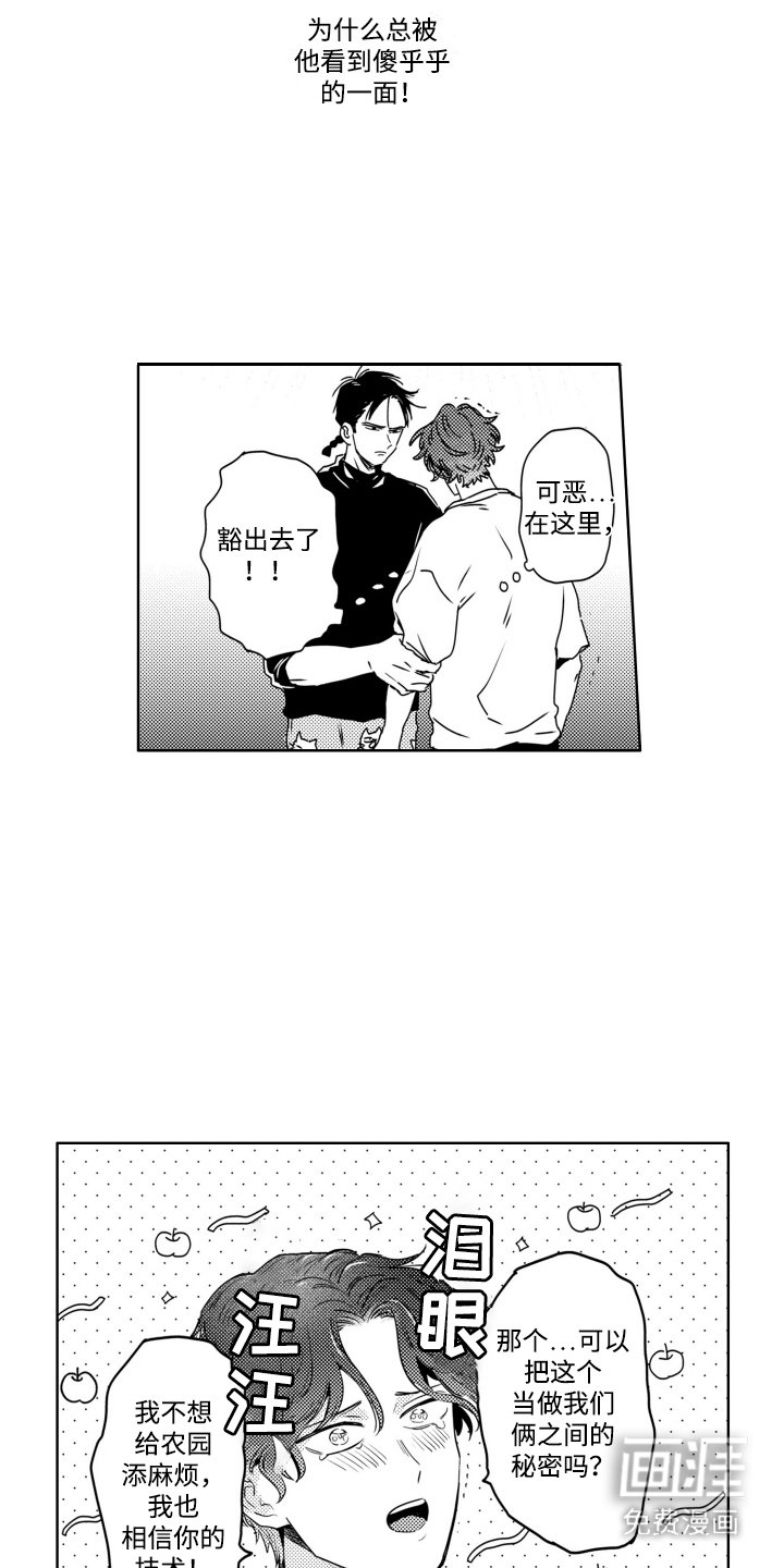 第13章：授粉游戏