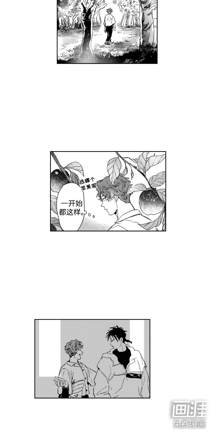 第2章：苹果