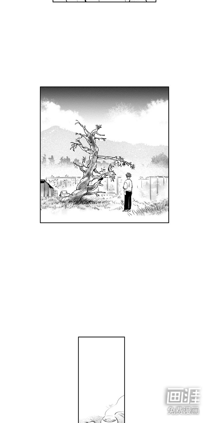 第2章：苹果