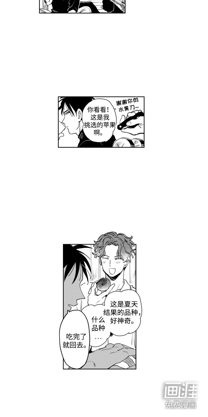 第2章：苹果