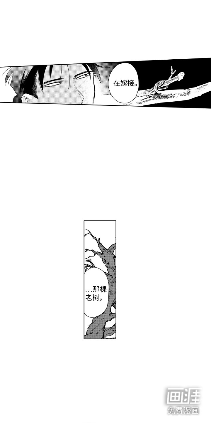 第6章：业报