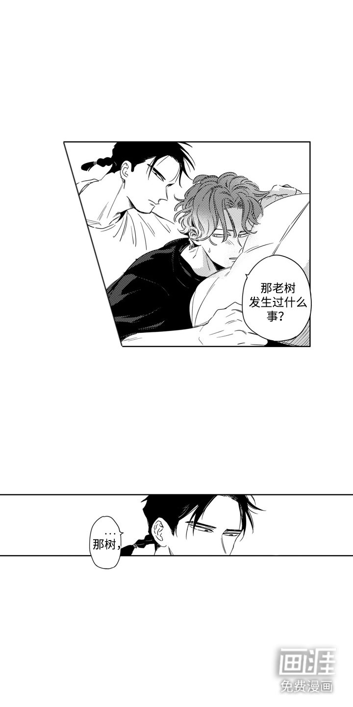 第6章：业报